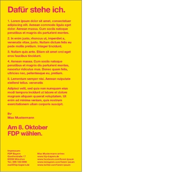 Kandidatenflyer 2-seitig RS