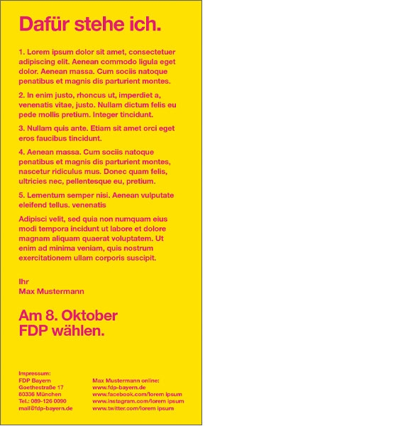 Kandidatenflyer 2-seitig RS