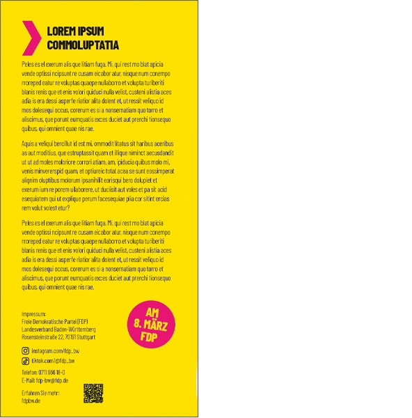 Kandidatenflyer 2-seitig RS