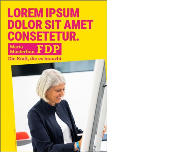 Kandidatenplakat Doppel-A0