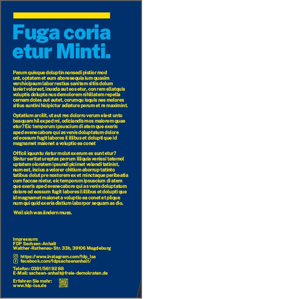 Kandidatenflyer 2-seitig RS